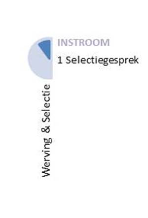 Selectiegesprek